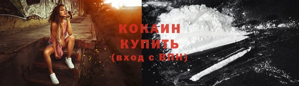 СК Медвежьегорск
