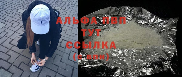 стафф Бердск
