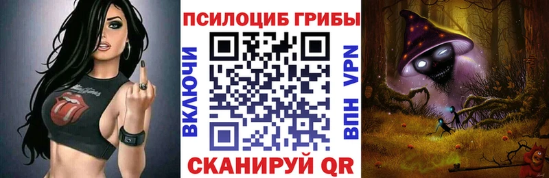 мега как зайти  Никольское  Псилоцибиновые грибы Psilocybine cubensis  где можно купить  